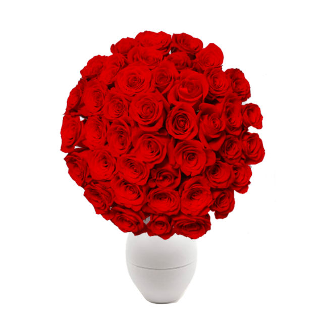 Il Bouquet Di Rose Rosse Yougardener